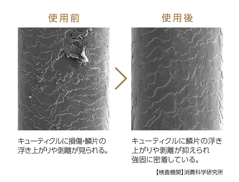 サロンセンス300 2WAY 30mm KHR-7520 キューティクル