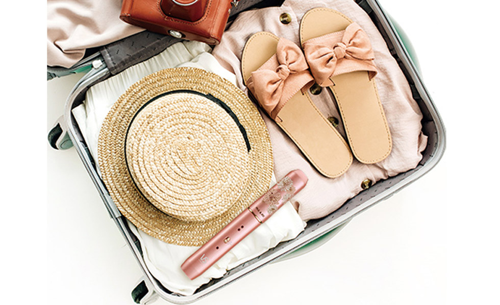 VSI-1030 ポールアンドジョー 持ち運びに便利