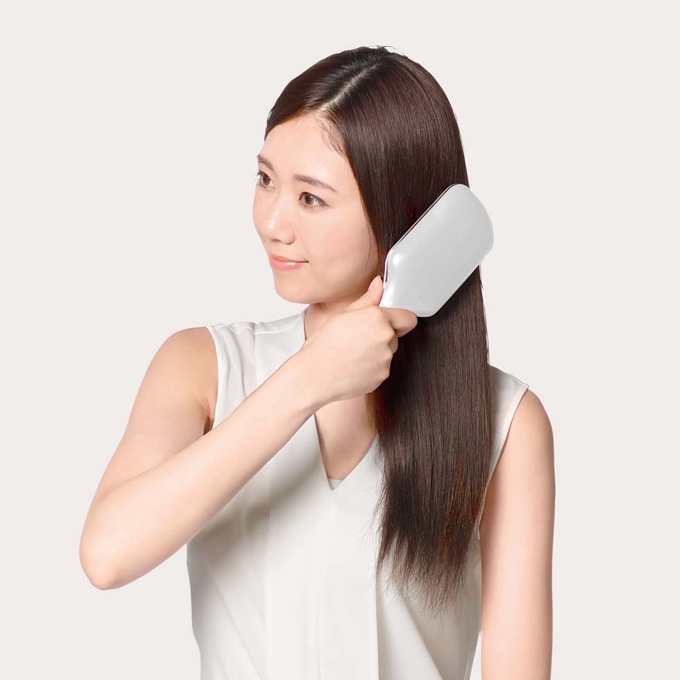 コイズミ リセットブラシ KBE2400 サラツヤ