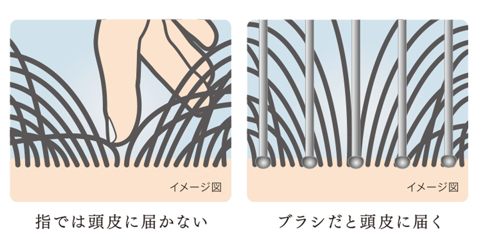 ポールアンドジョー リセットブラシ 頭皮ケア