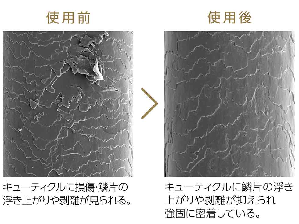 サロンセンス300 KHS-8750 くせ毛や広がりもしっかりまとまる