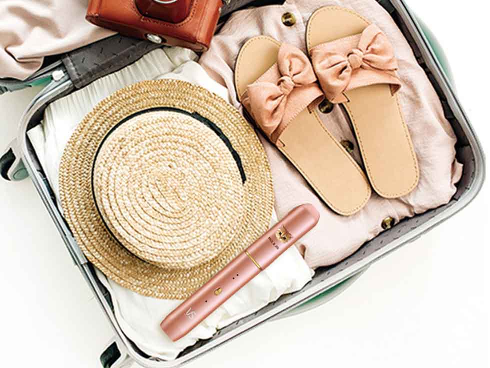 VSI-1031 ポールアンドジョー持ち運びに便利