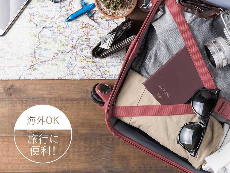 VSI1036　ポール&ジョー 海外OK