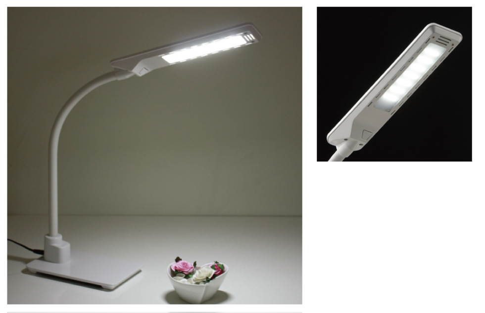 昼白色光源のみ