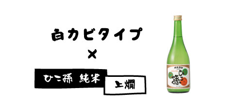 かんまかせで、白カビタイプ×ひこ孫純米