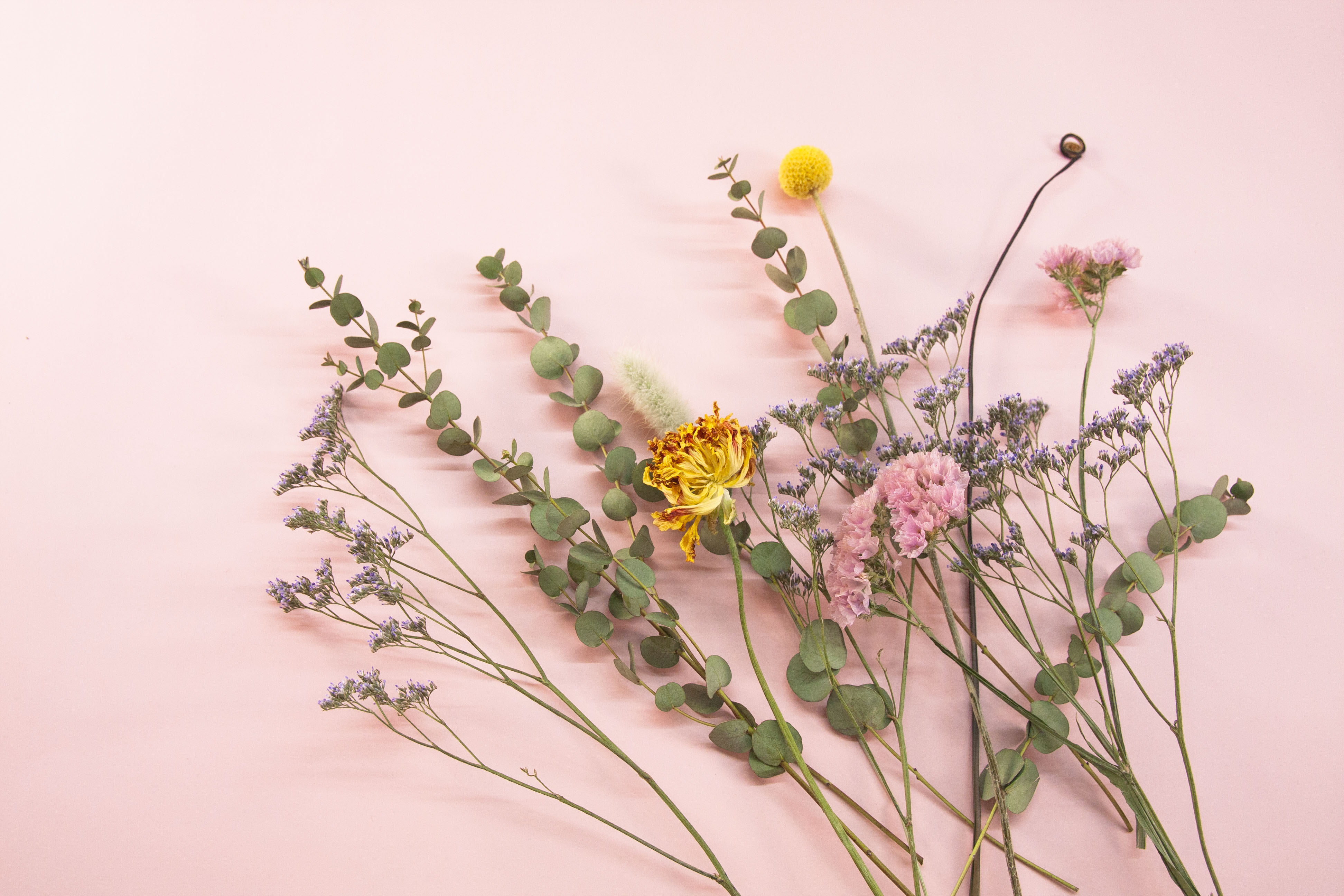 コイズミオンラインショップギフトラッピング対象商品はこちら