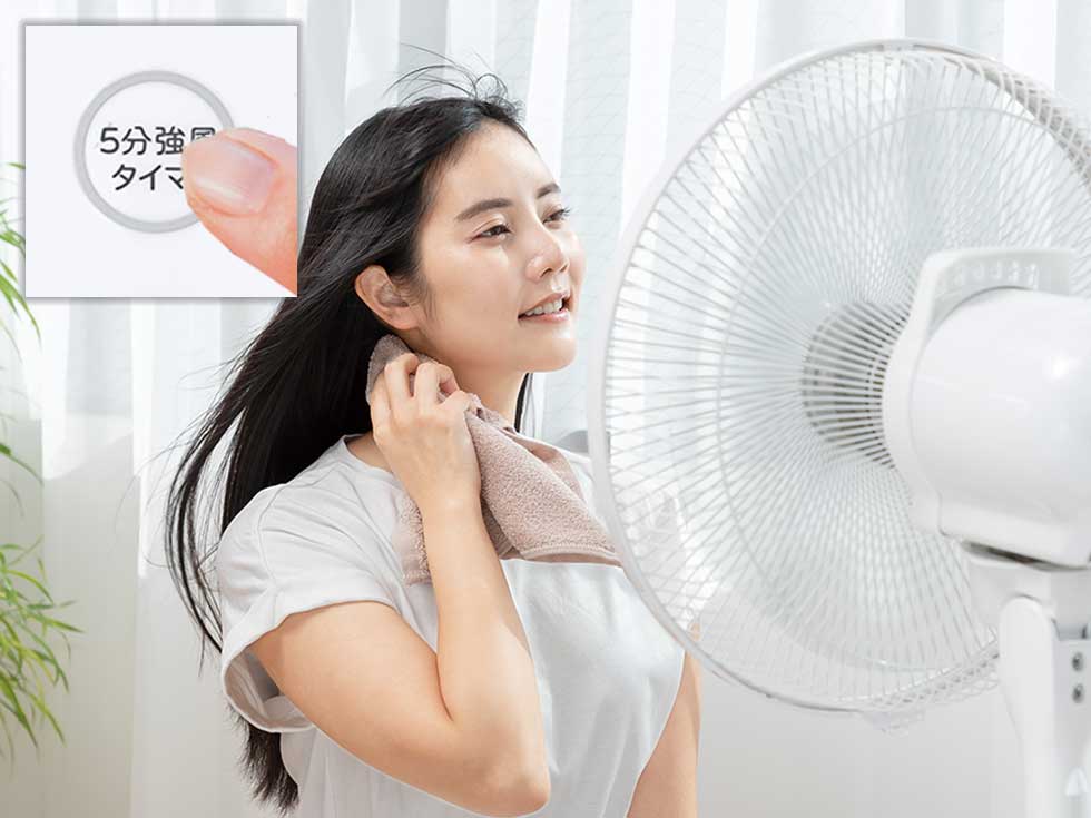 KLF-30252　DCモーター