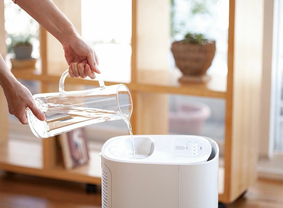 000000000733-02.jpg?size=l&w=