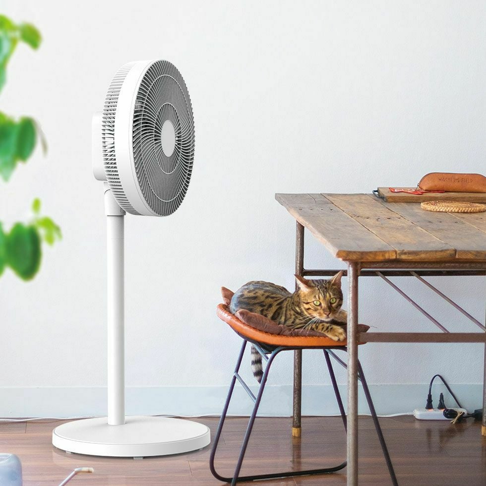 000000000876-11.jpg?size=l&w=