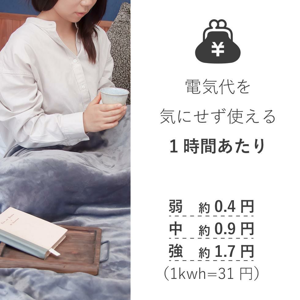 ここちよい電気毛布（掛け敷き）188x120cmKDK-75230 | コイズミ