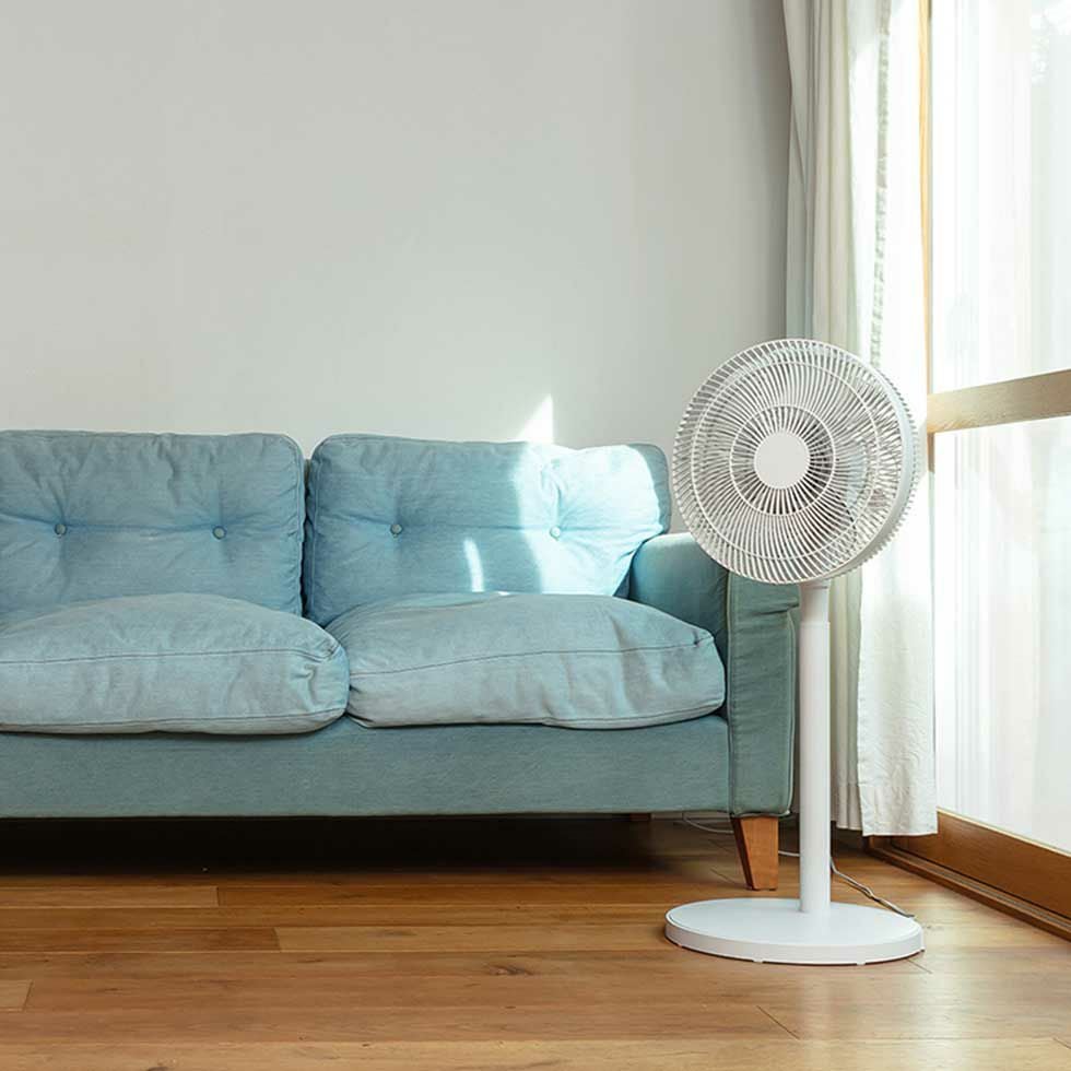 000000001409-04.jpg?size=l&w=