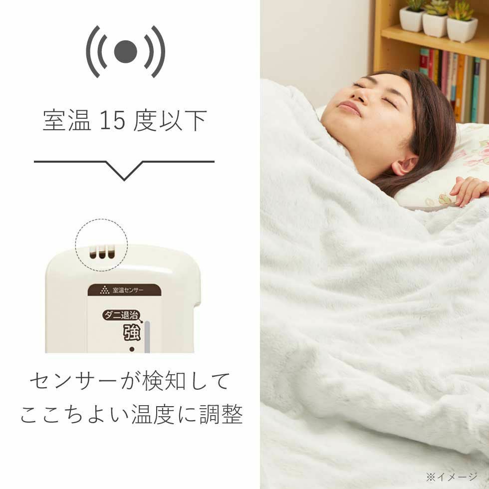 アウトレット】電気毛布（掛け敷き）188x120cmKDK-60241 | コイズミ