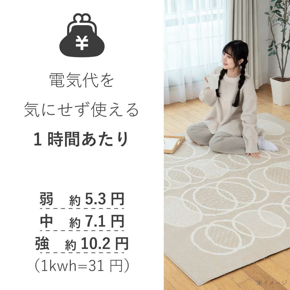 電気カーペット選べるカバーRythme リトム185×185cm134-72593