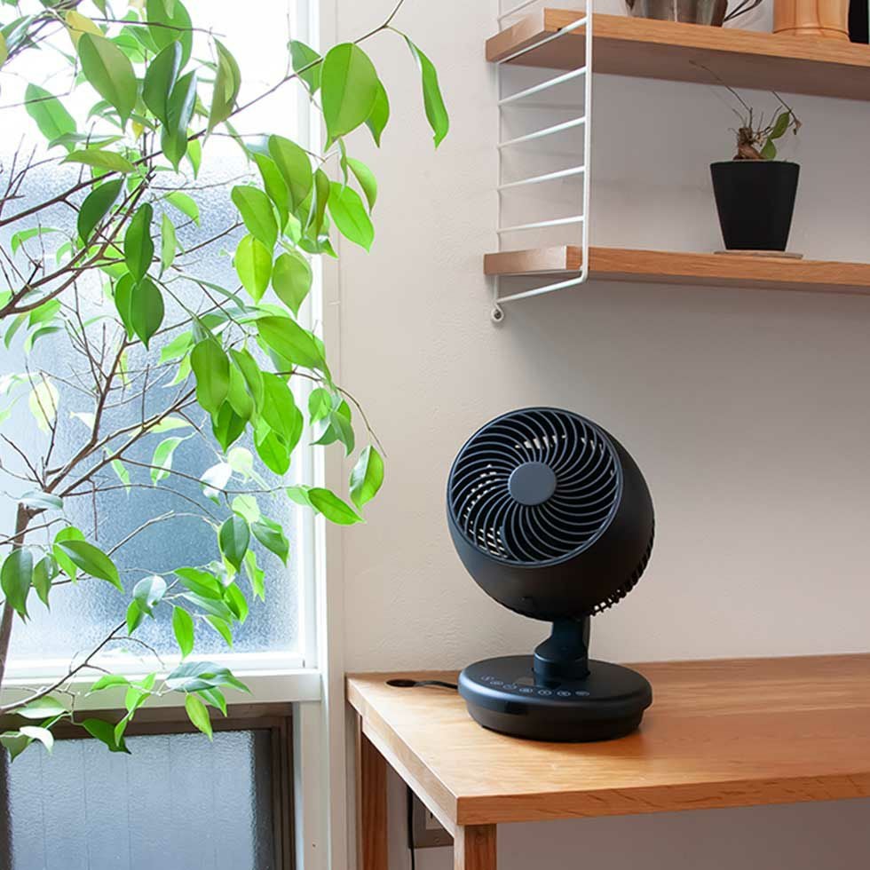 000000001817-13.jpg?size=l&w=