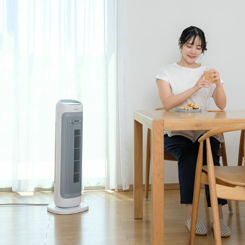 ホット＆クールDCモーターKHF-12256 | コイズミオンラインショップ